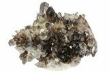 Dark Smoky Quartz Crystal Cluster - Brazil #80180-1